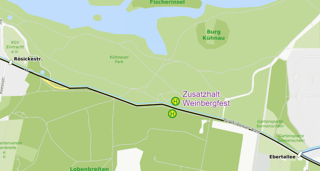 Weinbergfest